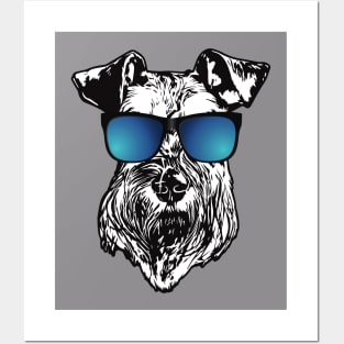 Schnauzer With Cool Blue Sunglasses Posters and Art